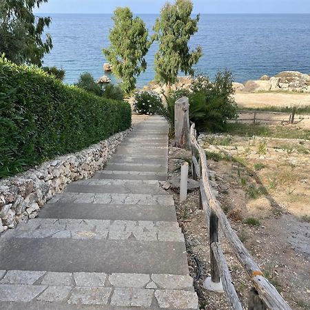 Villa Hibiscus Scopello Scopello  Buitenkant foto