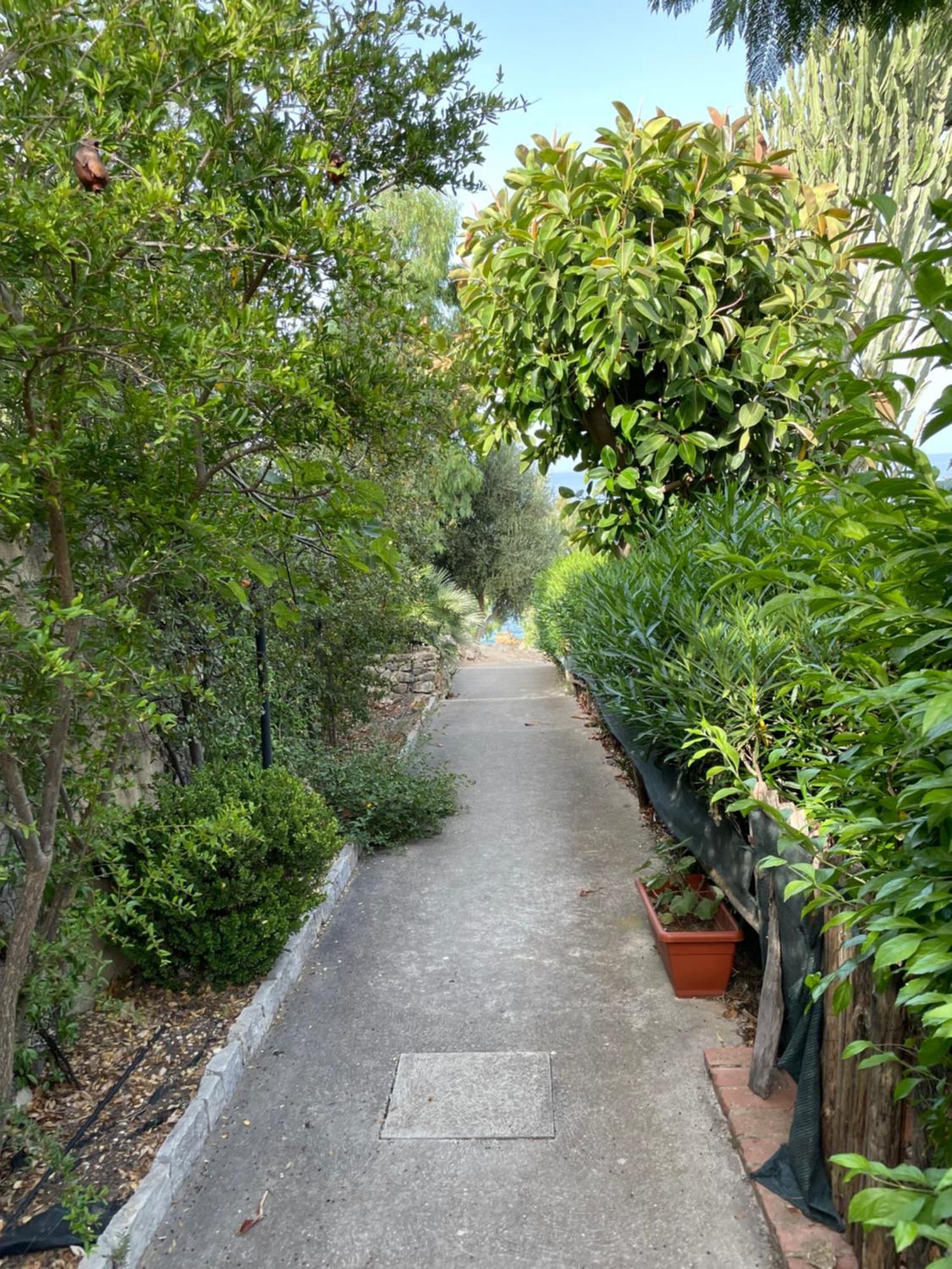 Villa Hibiscus Scopello Scopello  Buitenkant foto