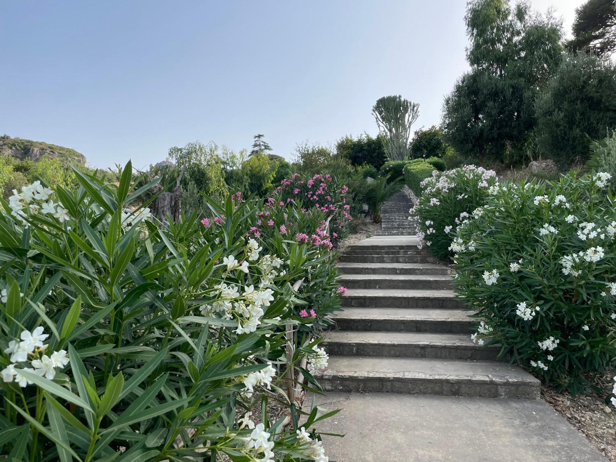 Villa Hibiscus Scopello Scopello  Buitenkant foto