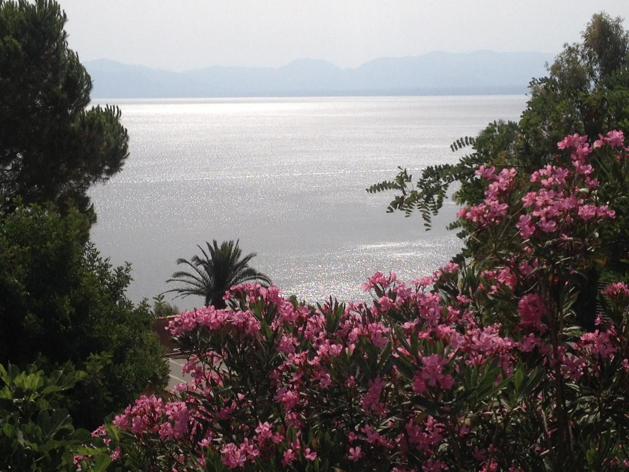 Villa Hibiscus Scopello Scopello  Buitenkant foto